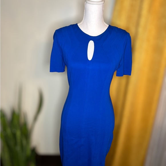 Vibrant Cobalt Blue Diane von Fürstenberg (DVF) Dress Sz. 4 - Picture 2 of 8